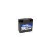 Exide G19